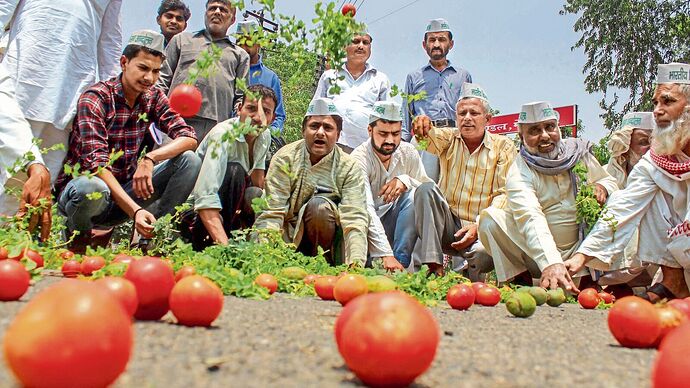 Wine from tomatoes? Govt to fund 28 projects to reduce waste and stabilise prices