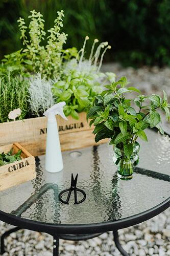 pexels-karola-g-4750367