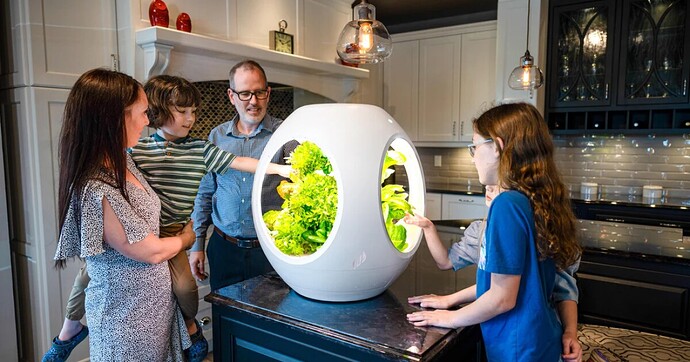 Automated mini garden uses a nutritious fog to grows veggies indoors