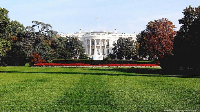 The power of the perfect lawn