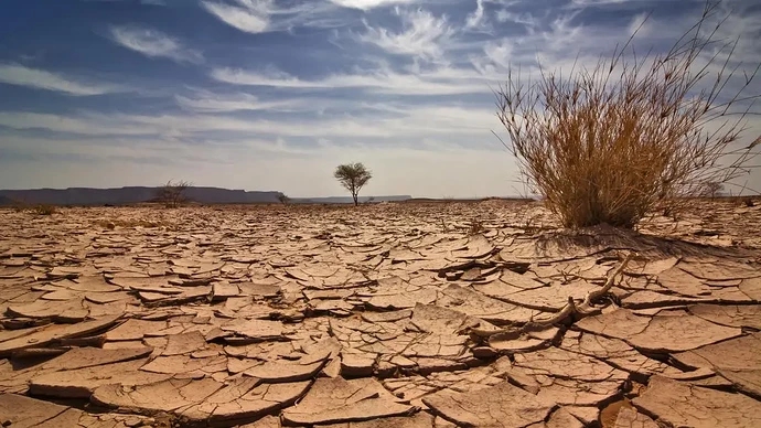 Experts foresee fundamental shift in tackling climate change